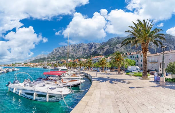 Makarska waterfront with boats and palm trees below Biokovo