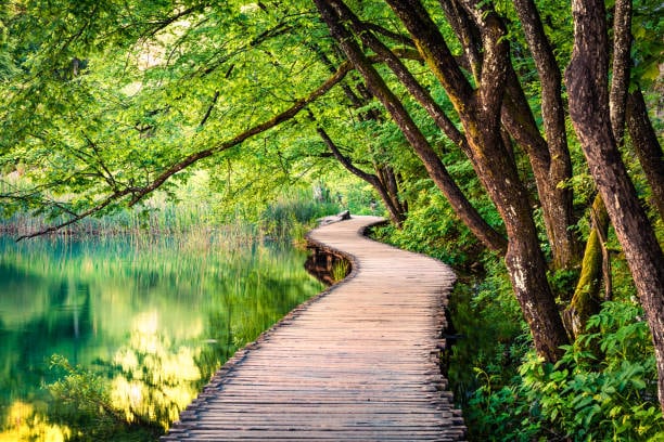 Wooden walkway beside a green lake at Plitvice